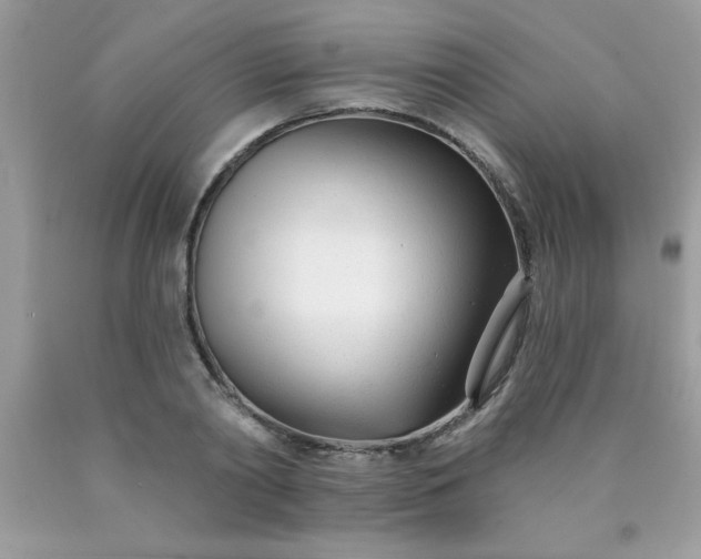 X0000090480790200707272318