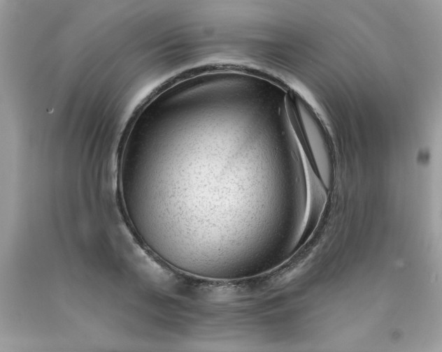 X0000090480791200707272318