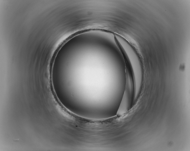 X0000090480792200707272318