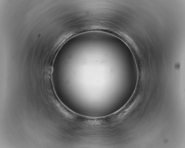 X0000090480793200707272318