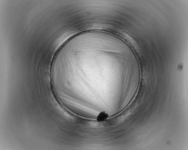 X0000090480794200707272318