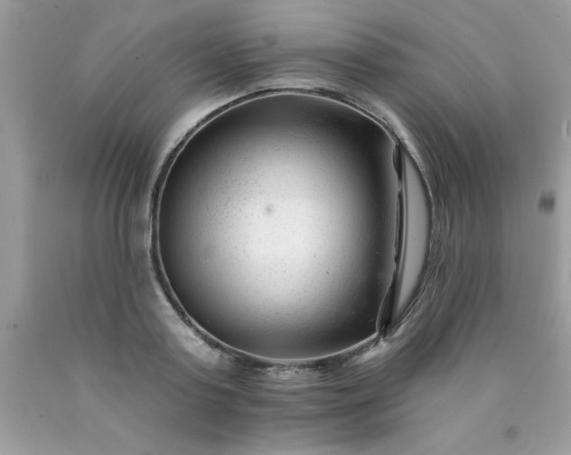 X0000090480795200707272318