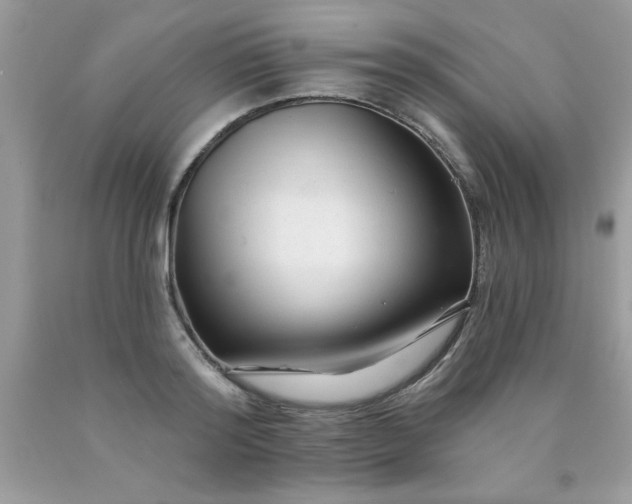 X0000090480796200707272318