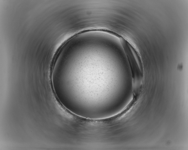 X0000090480797200707272318