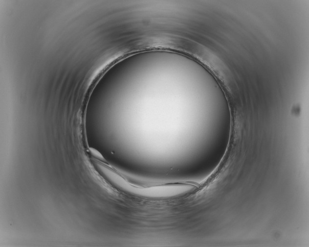 X0000090480798200707272318