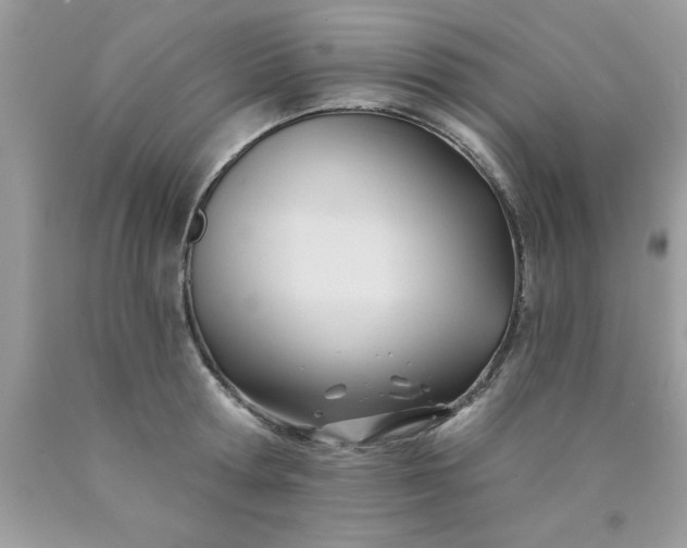 X0000090480802200707272318