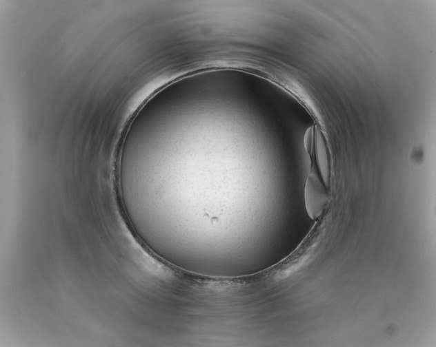 X0000090480803200707272318