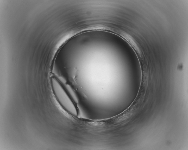 X0000090480805200707272318