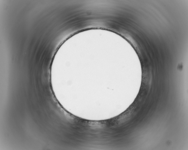 X0000090480807200707272318