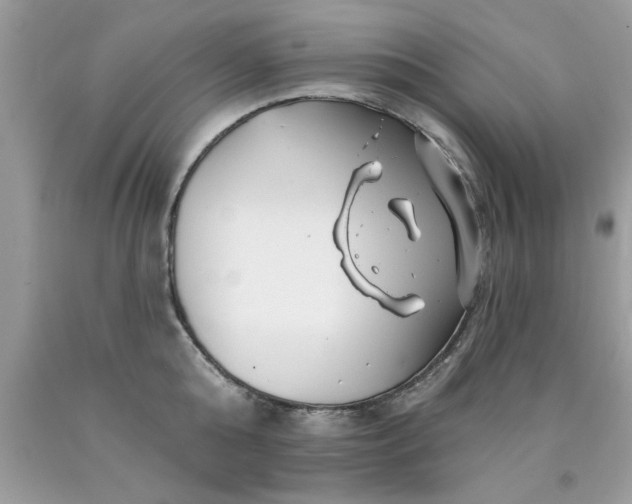 X0000090480808200707272318