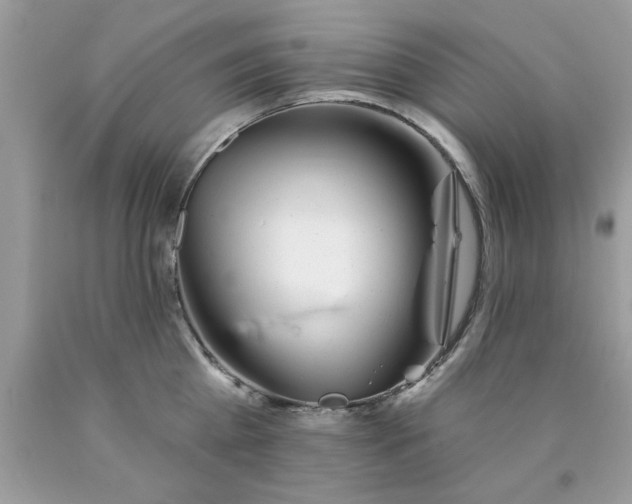 X0000090480809200707272318