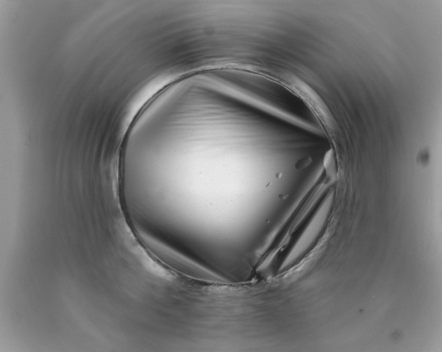 X0000090480812200707272317