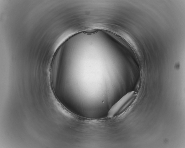 X0000090480814200707272317