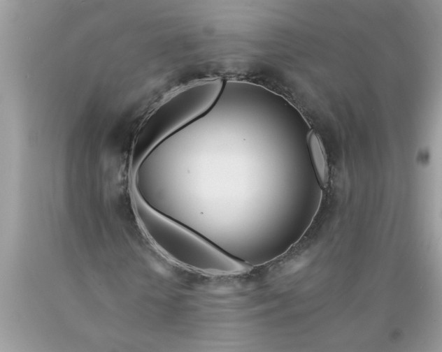 X0000090480818200707272317