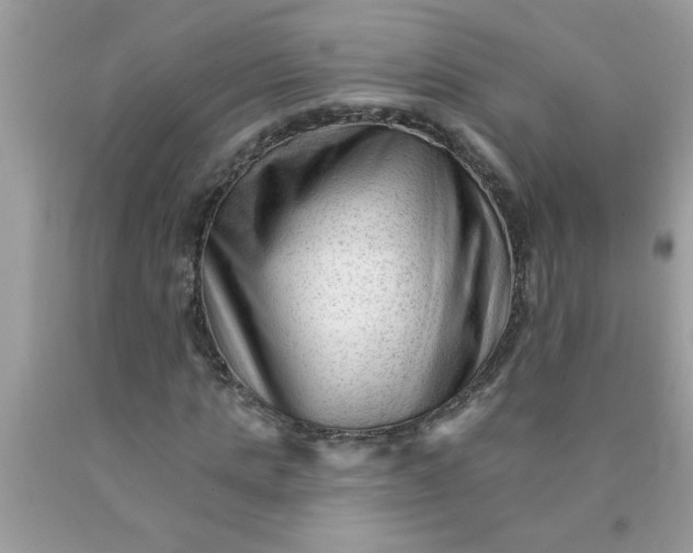 X0000090480821200707272317