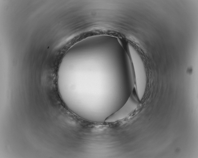 X0000090480822200707272317