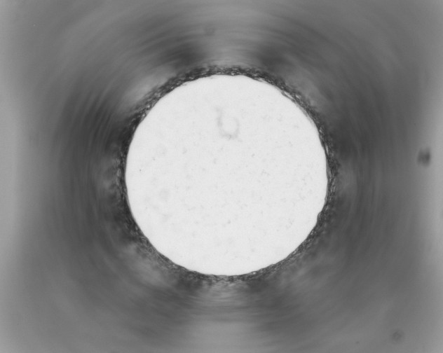 X0000090480824200707272317