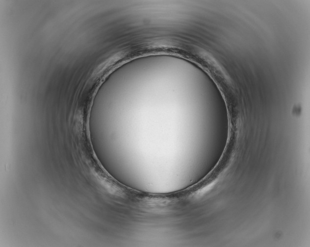 X0000090480825200707272317