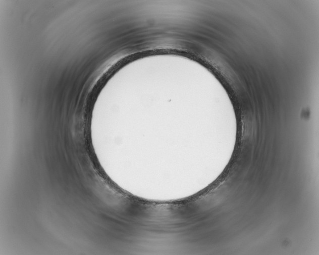 X0000090480828200707272317