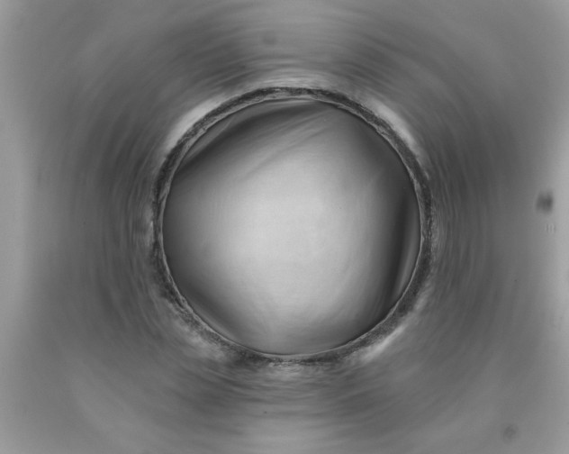 X0000090480829200707272317