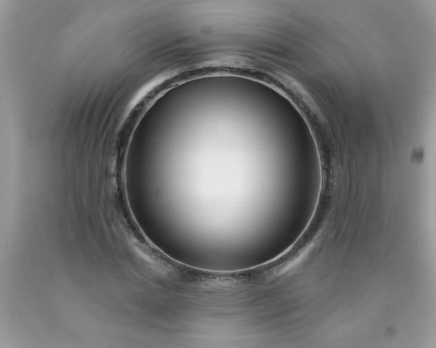 X0000090480830200707272317