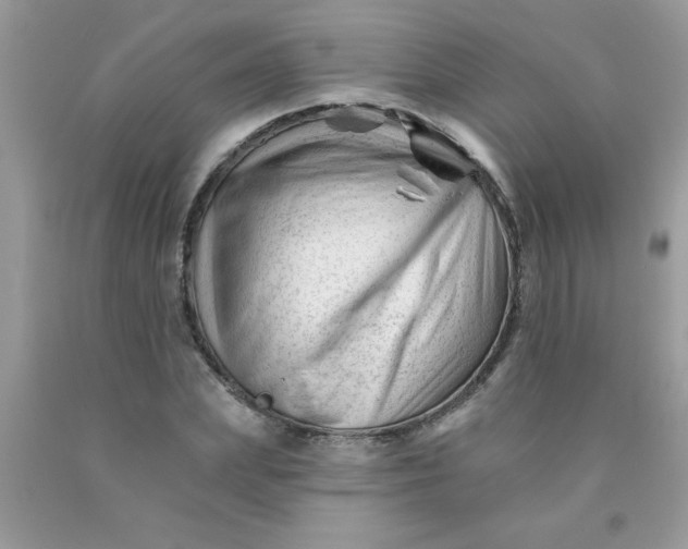 X0000090480831200707272317