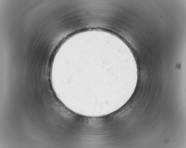 X0000090480832200707272317