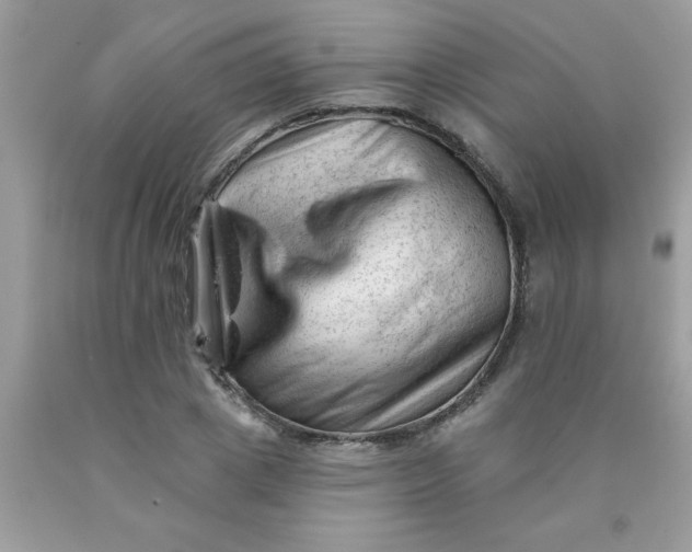 X0000090480833200707272317