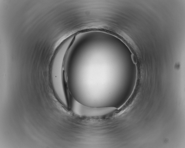 X0000090480834200707272317