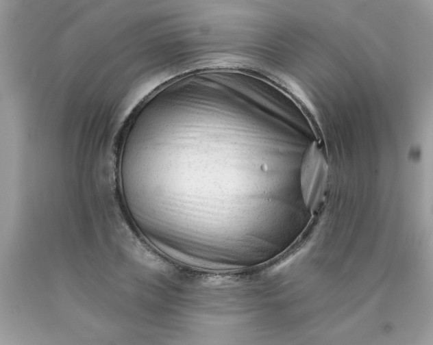 X0000090480835200707272317