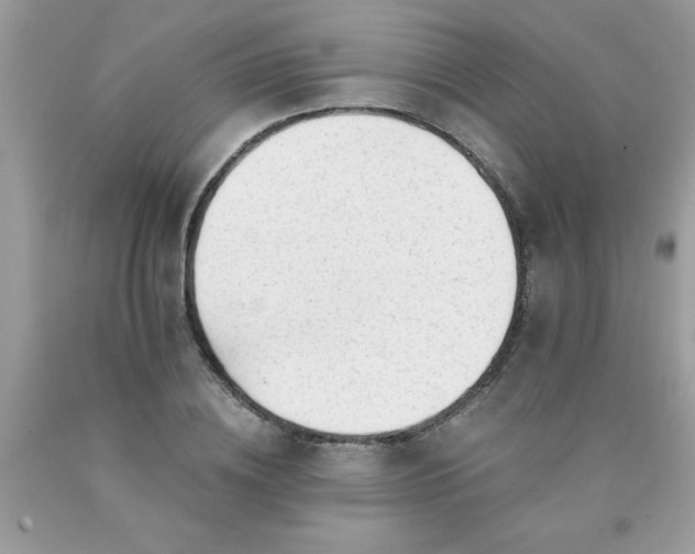 X0000090480836200707272317