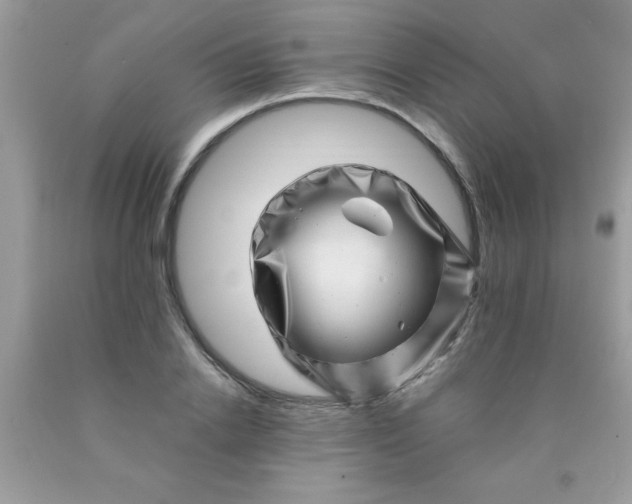 X0000090480838200707272317