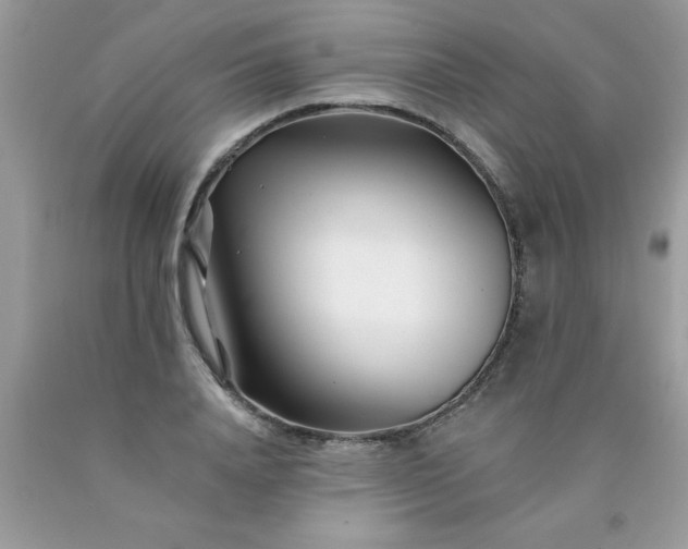 X0000090480840200707272317