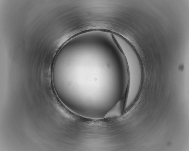 X0000090480842200707272317