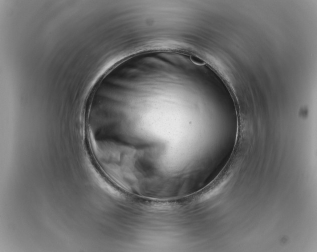 X0000090480843200707272317