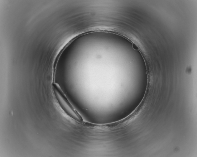 X0000090480844200707272317