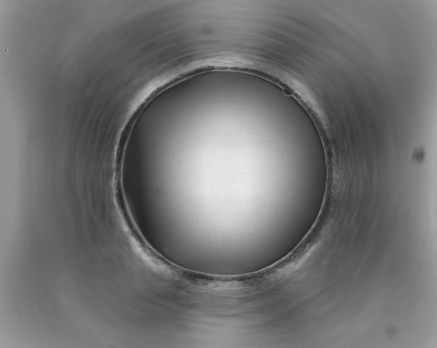 X0000090480845200707272317