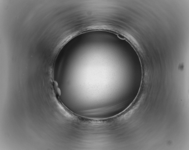 X0000090480849200707272317