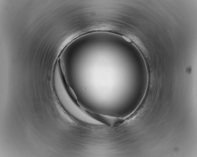 X0000090480850200707272317