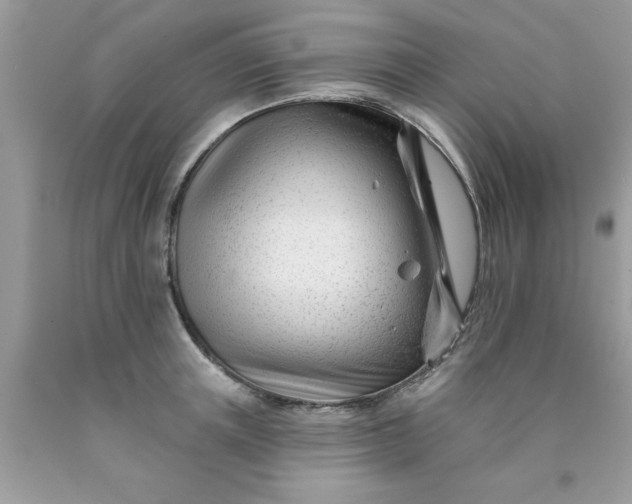 X0000090480851200707272317