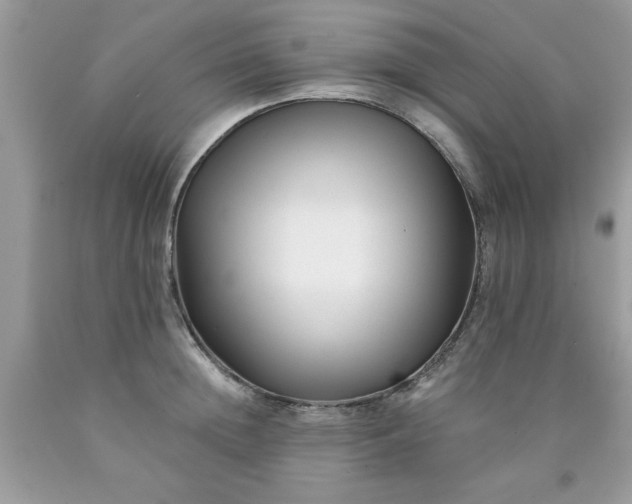 X0000090480852200707272317