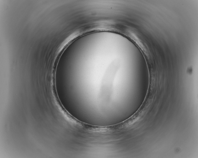 X0000090480853200707272317