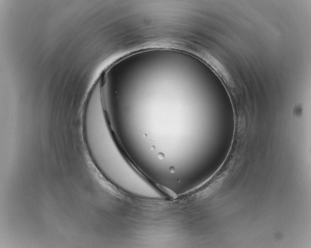 X0000090480854200707272317