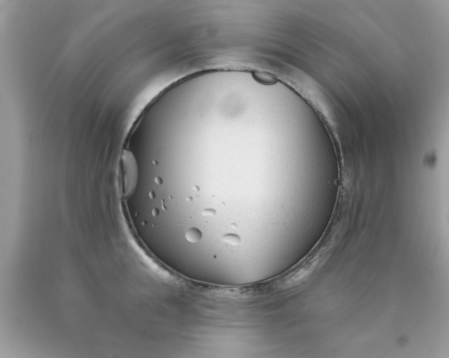 X0000090480855200707272317