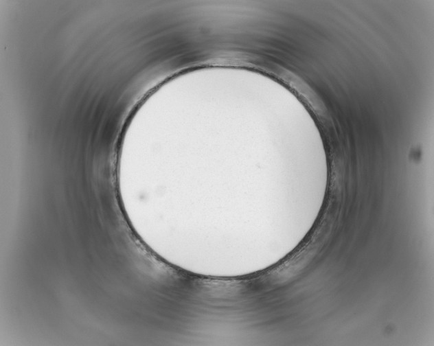 X0000090480856200707272317