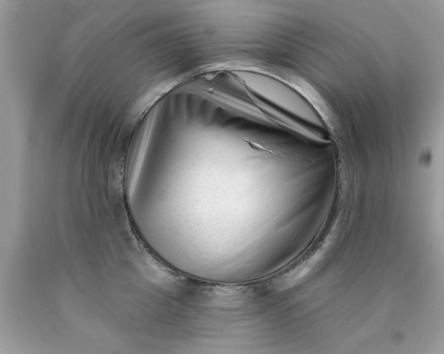 X0000090480857200707272317