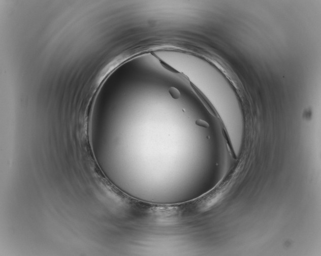 X0000090480858200707272317