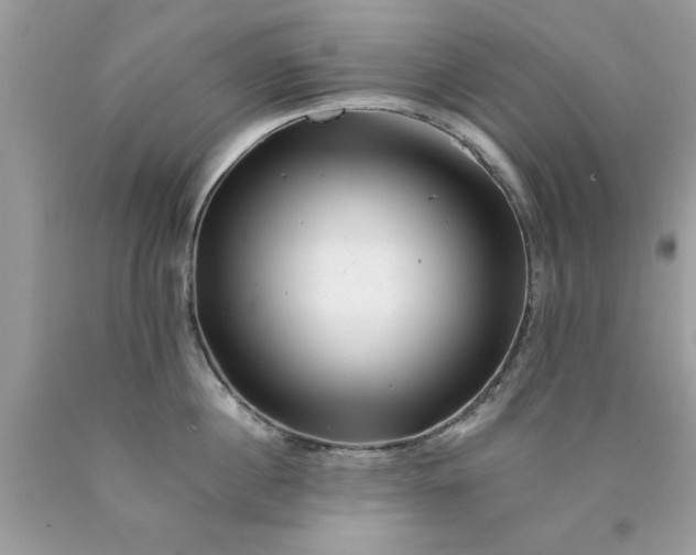 X0000090480860200707272317