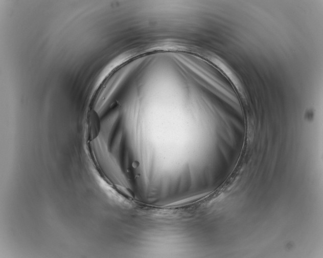 X0000090480861200707272317