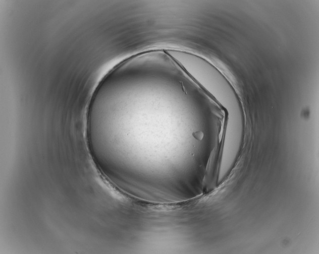 X0000090480862200707272317